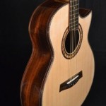 Custom OM Granadillo Cutaway - Lutz McNeill Guitar, custom rosette, Ziricot bridge, Purflex purfling and finger board inlays, cutaway