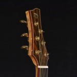 Guatemalan Rosewood Binding volute straight pull head stock peg head Bolivian Walnut Purfling Gold tuners Bone Nut Canary Wood Neck