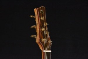 Guatemalan Rosewood Binding volute straight pull head stock peg head Bolivian Walnut Purfling Gold tuners Bone Nut Canary Wood Neck