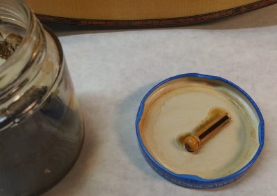 Dying bone bridge pins in progress