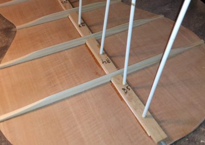 Back Center strip glued in after back braces have been carved