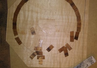 Rosette in the making