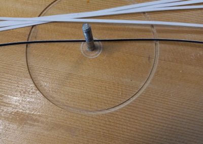 LG-2 Fiber strips perpared for rosette